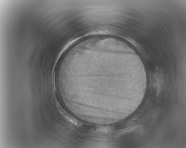 X0000058781078200510282005