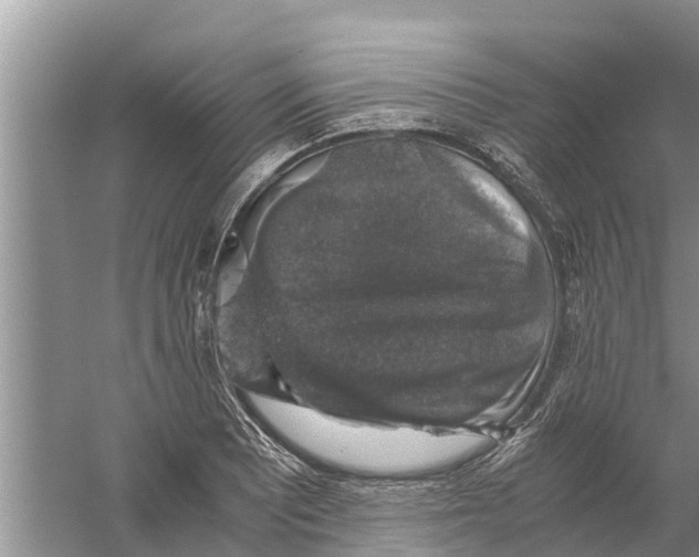 X0000058781081200510282005