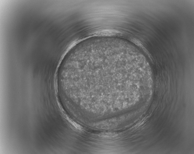 X0000058781083200510282005