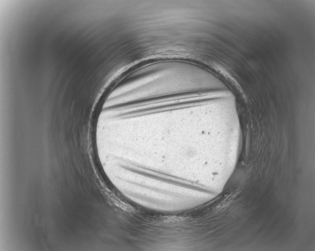 X0000058781085200510282004