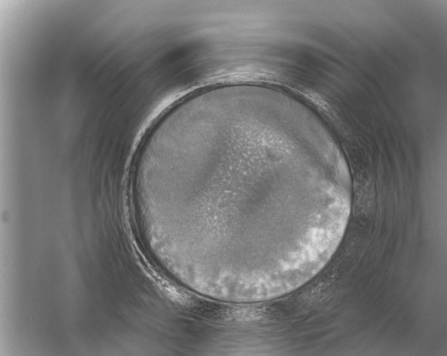 X0000058781086200510282004