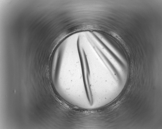 X0000058781089200510282004