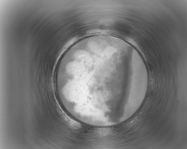 X0000058781090200510282004