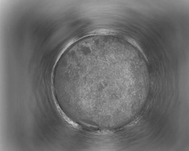 X0000058781091200510282004