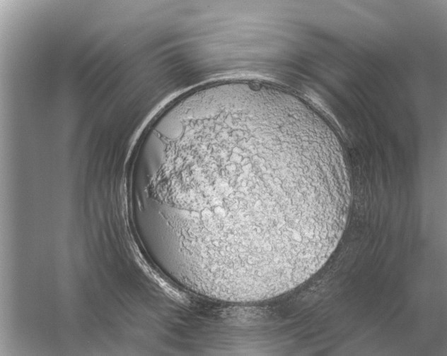 X0000058781092200510282004