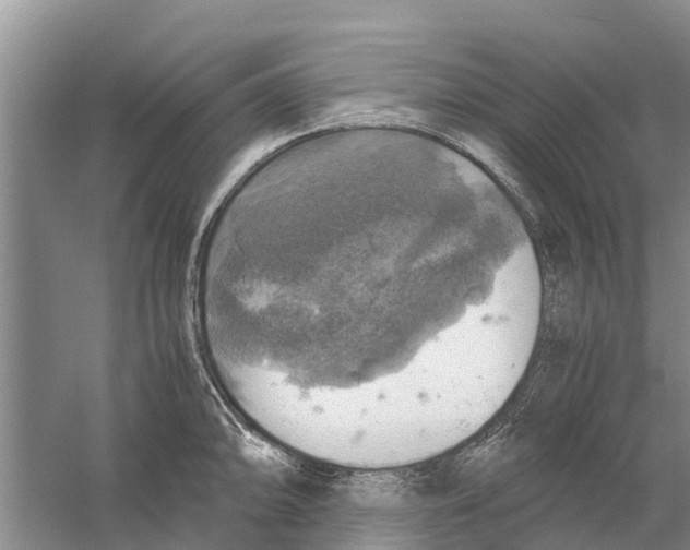 X0000058781094200510282004