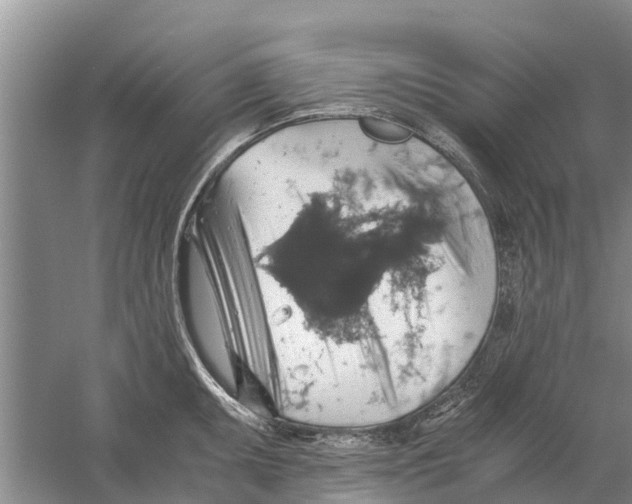 X0000058781095200510282004