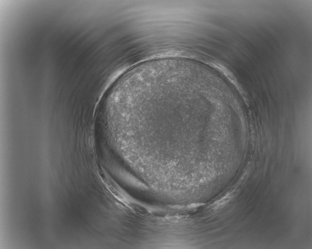 X0000058781097200510282004