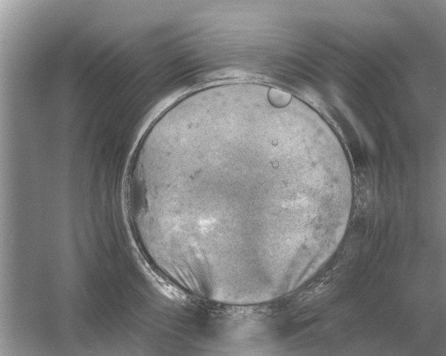 X0000058781098200510282004