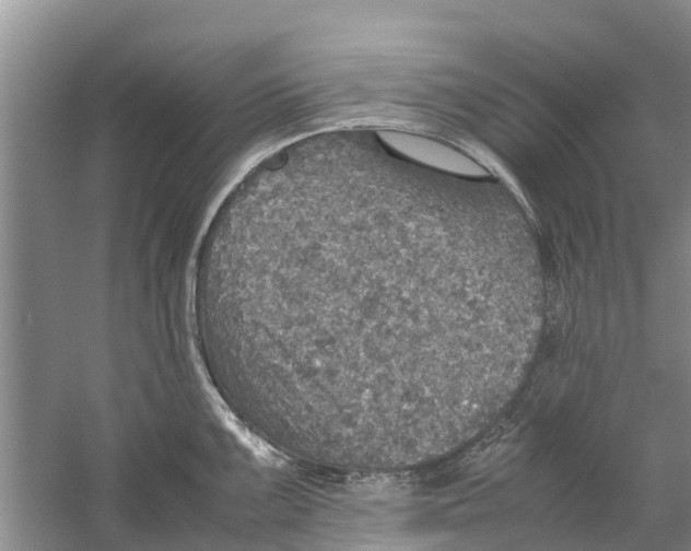 X0000058781099200510282004