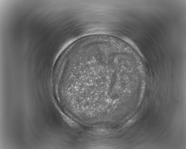 X0000058781101200510282004