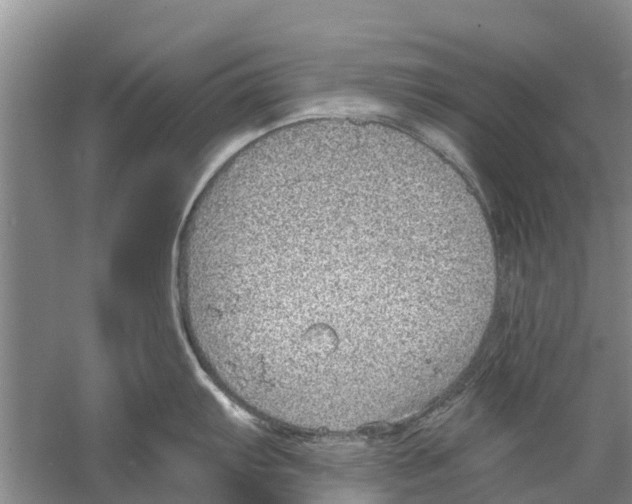 X0000058781103200510282004