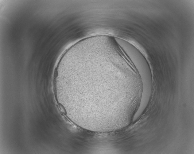 X0000058781104200510282004