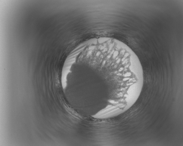 X0000058781106200510282003