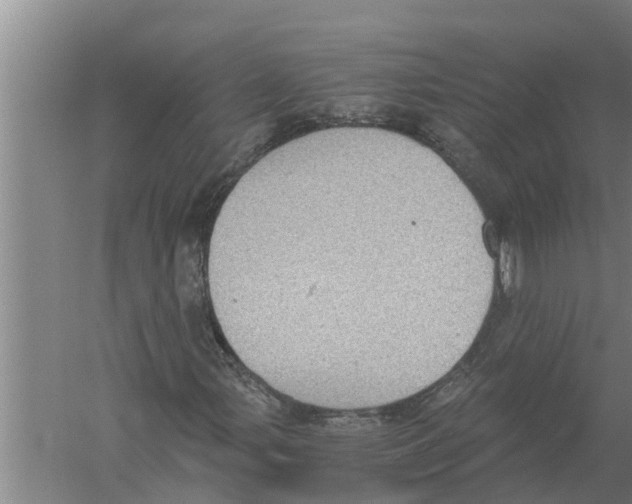 X0000058781107200510282003