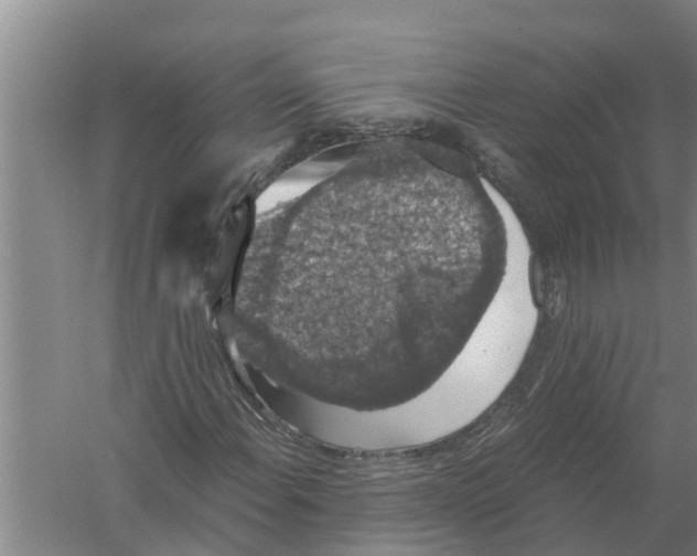 X0000058781108200510282003