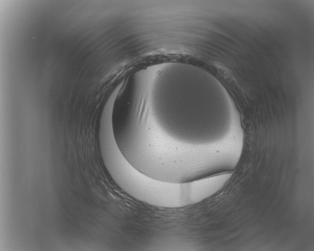 X0000058781110200510282003