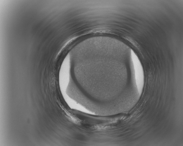 X0000058781115200510282004