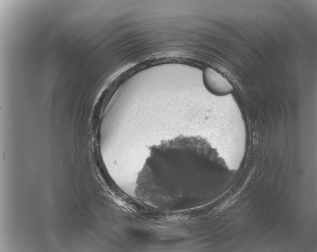 X0000058781117200510282004