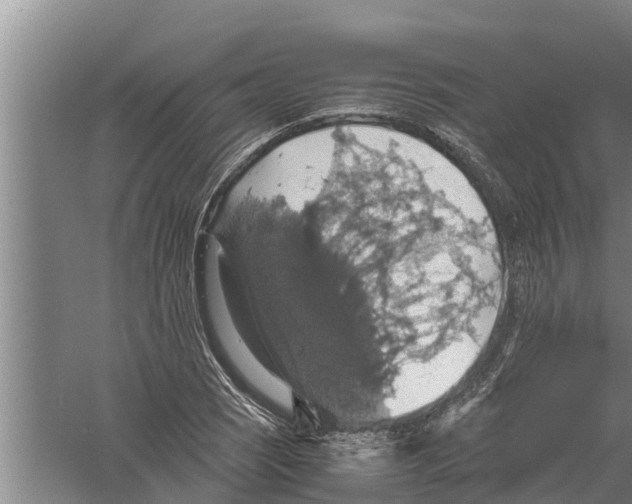 X0000058781121200510282004