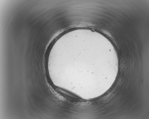 X0000058781122200510282004