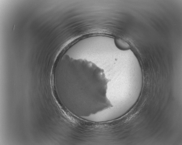 X0000058781125200510282004