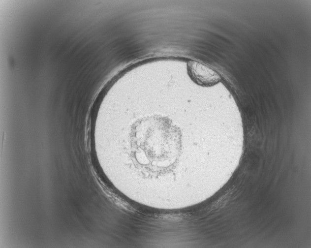 X0000058781126200510282004