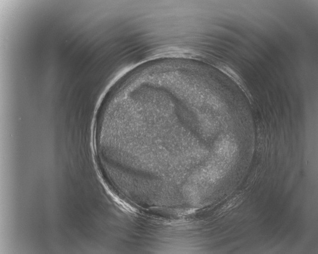 X0000058781128200510282004