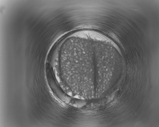 X0000058781132200510282004