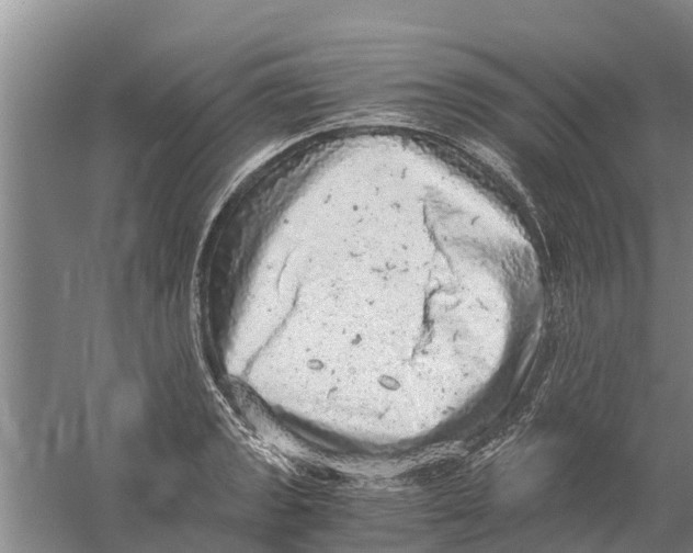 X0000058781133200510282004