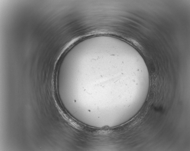 X0000058781134200510282004