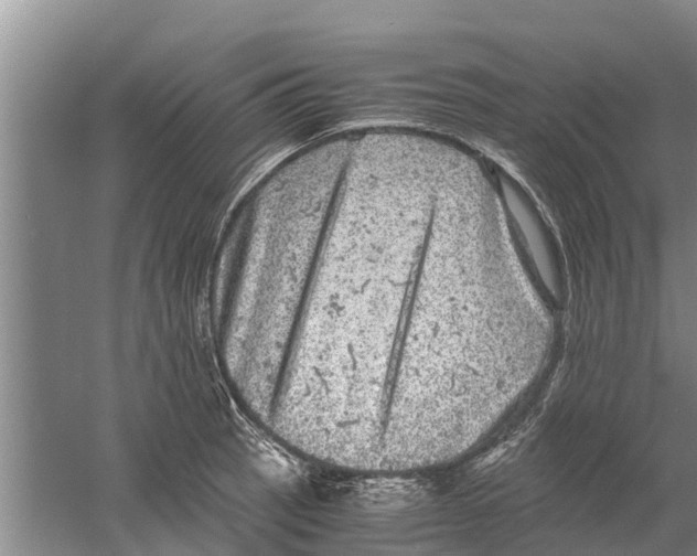 X0000058781137200510282004