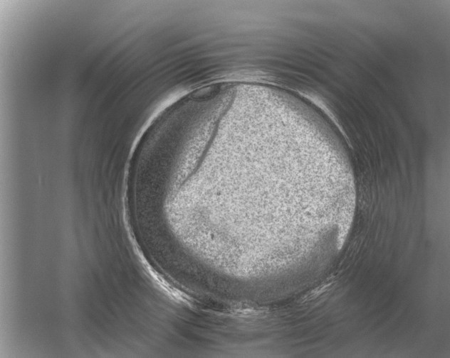 X0000058781139200510282004