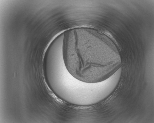 X0000058781140200510282004