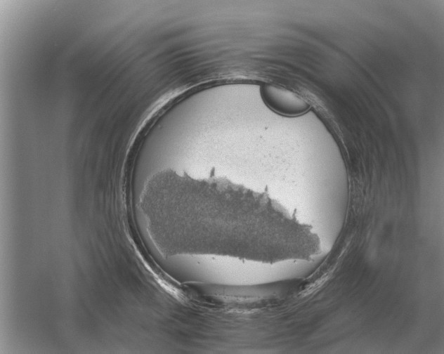 X0000058781141200510282004