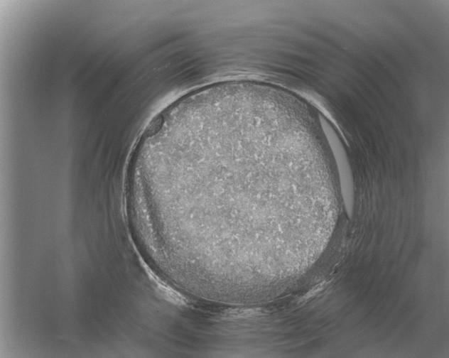 X0000058781143200510282004