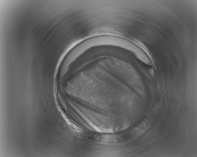 X0000058781144200510282004