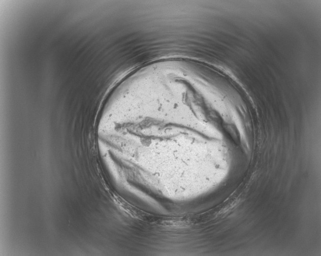 X0000058781145200510282004