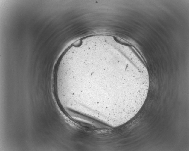 X0000058781147200510282004