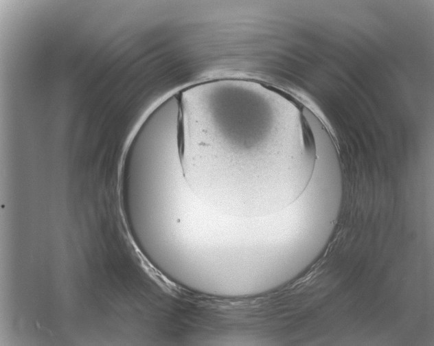 X0000058781148200510282004