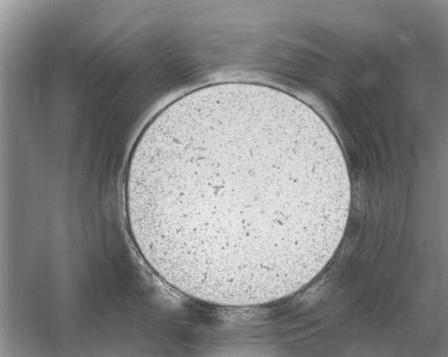 X0000058781150200510282004