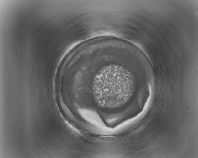 X0000058781151200510282004