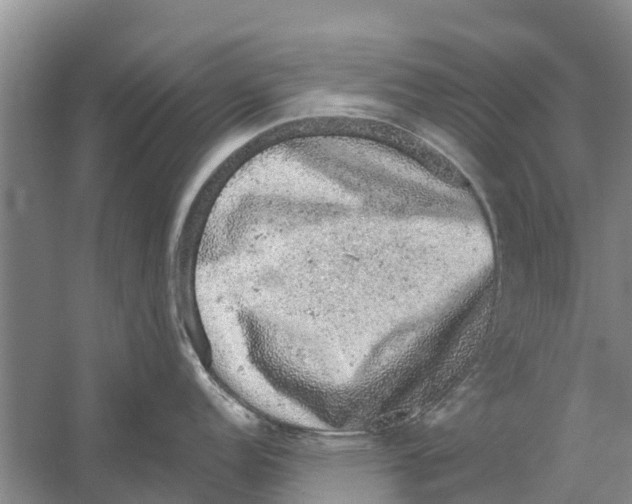 X0000058781152200510282004