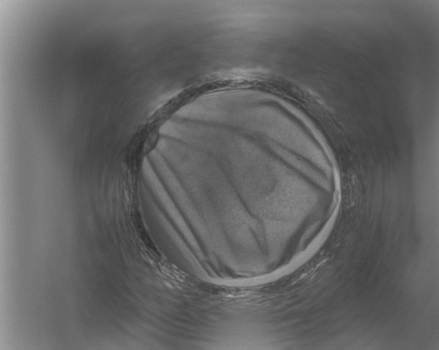 X0000058781158200510282003