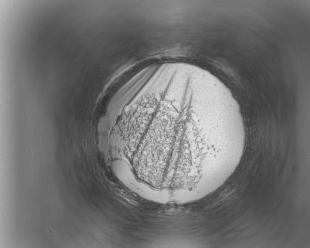 X0000058781160200510282003