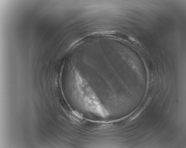 X0000058781161200510282003