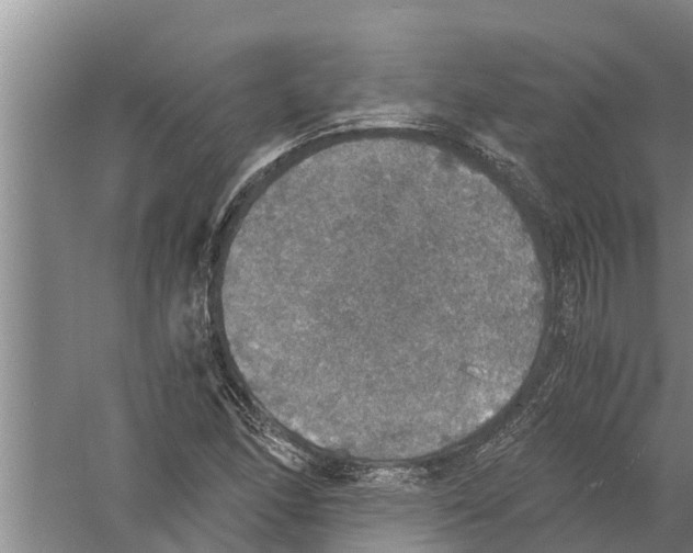 X0000058781166200510282003