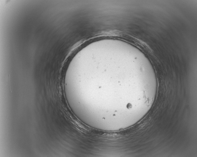 X0000058781168200510282003