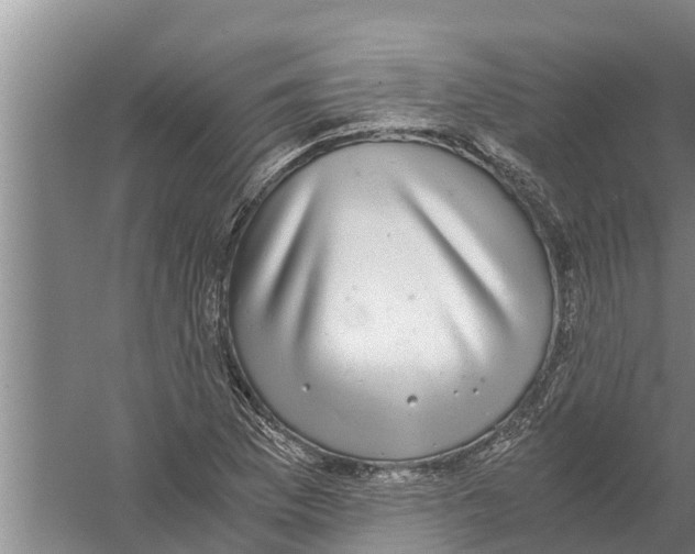 X0000058781169200510282003