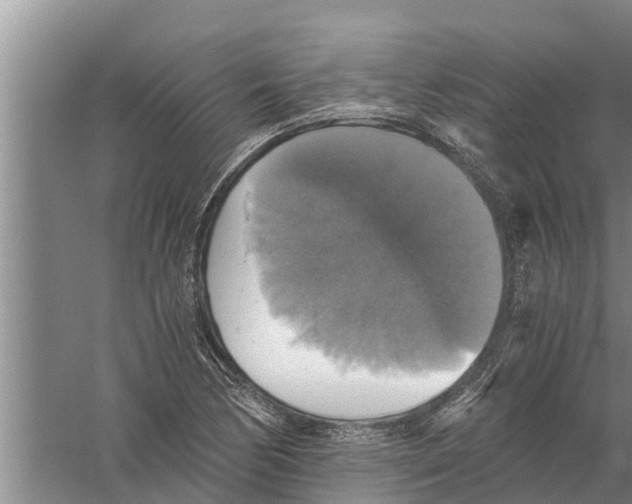 X0000058781170200510282003